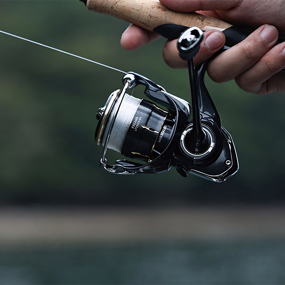DAIWA 2026 FREAMS Kołowrotek s – Daiwa Reel Bg recenzja i cena